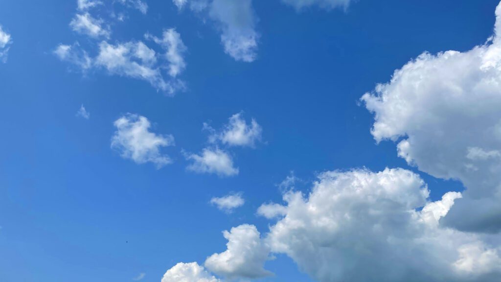 Bluesky Hires Ex-Twitter Trust & Safety Exec